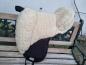Preview: Barefoot® 'Ride-On-Pad' Physio nature - GR S  REDUZIERT