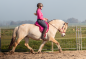 Preview: Edix Union Barebackpad