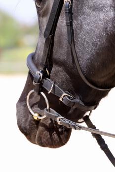 Preview: Barefoot® Gebissriemchen