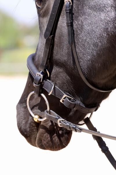 Barefoot® Gebissriemchen