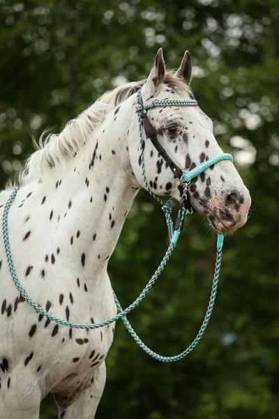 Barefoot® 'Amber' Kopfstück 2-in-1, türkis braun cob, neu